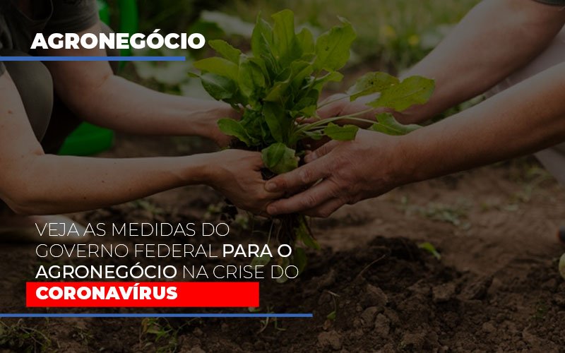 veja-as-medidas-do-governo-federal-para-o-agronegocio-na-crise-do-coronavirus