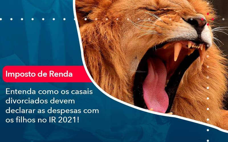 Entenda Como Os Casais Divorciados Devem Declarar As Despesas Com Os Filhos No Ir 2021 1 - Contabilidade em Brasília | Estratégia Patrimonial