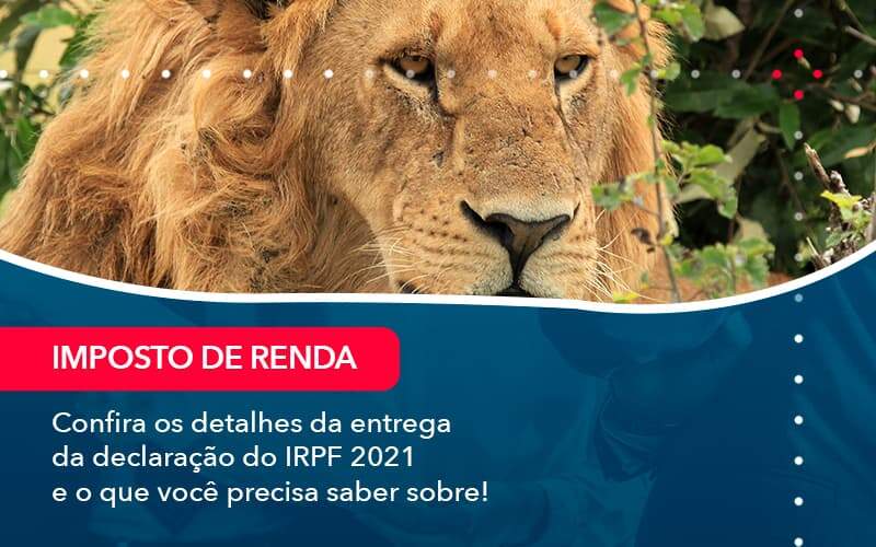 Confira Os Detalhes Da Entrega Da Declaracao Do Irpf 2021 E O Que Voce Precisa Saber Sobre 1 - Contabilidade em Brasília | Estratégia Patrimonial