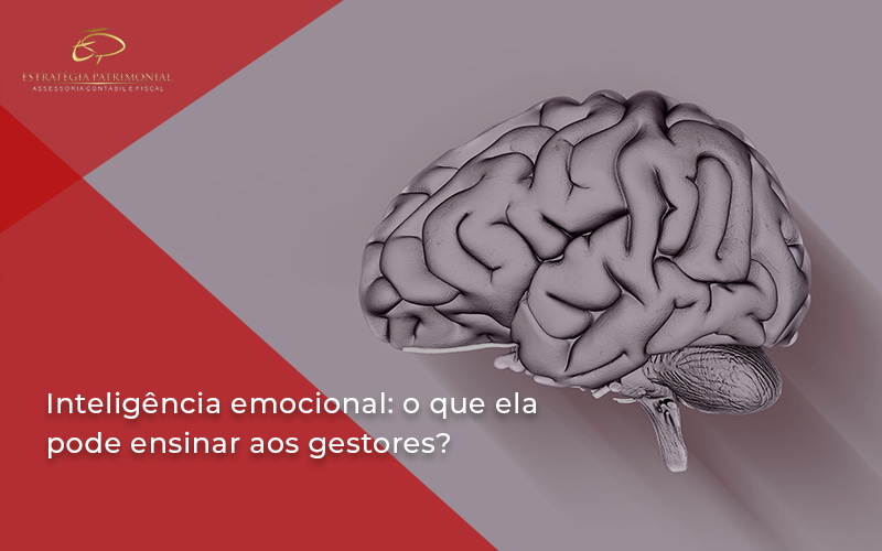 55 Estrategia Patrimonial - Contabilidade em Brasília | Estratégia Patrimonial